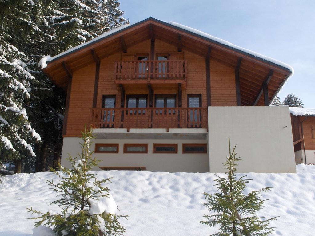 Magnificent Chalet On The Mountain Slopes Les Gets Eksteriør billede