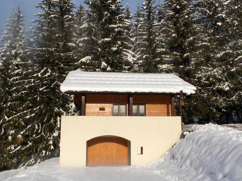 Magnificent Chalet On The Mountain Slopes Les Gets Eksteriør billede
