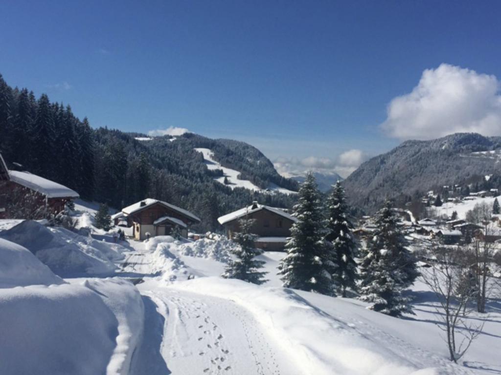 Magnificent Chalet On The Mountain Slopes Les Gets Eksteriør billede